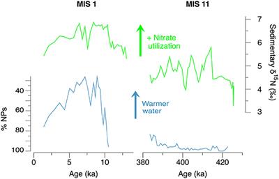 Cold Water in a Warm World: Investigating the Origin of the Nordic Seas' Unique Surface Properties During MIS 11